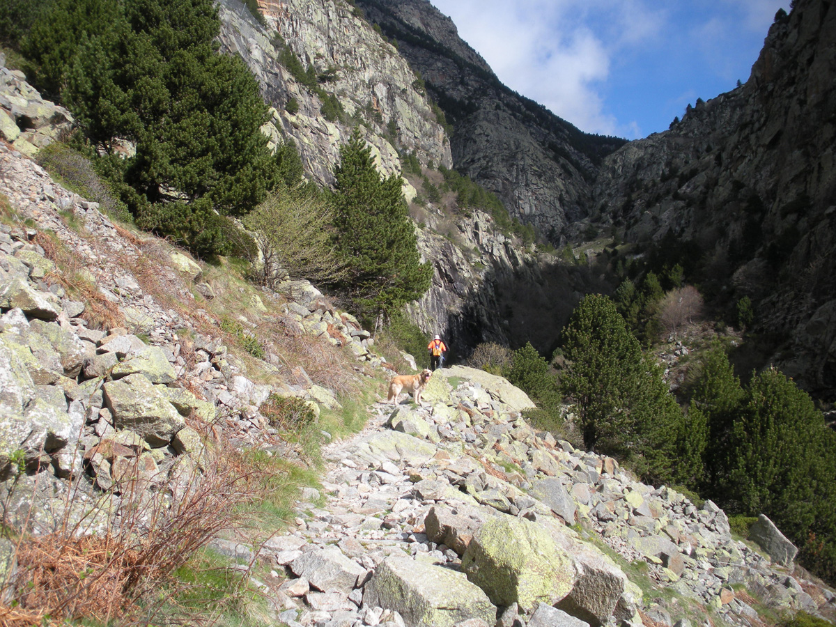 Camí Vell Queralbs - Núria